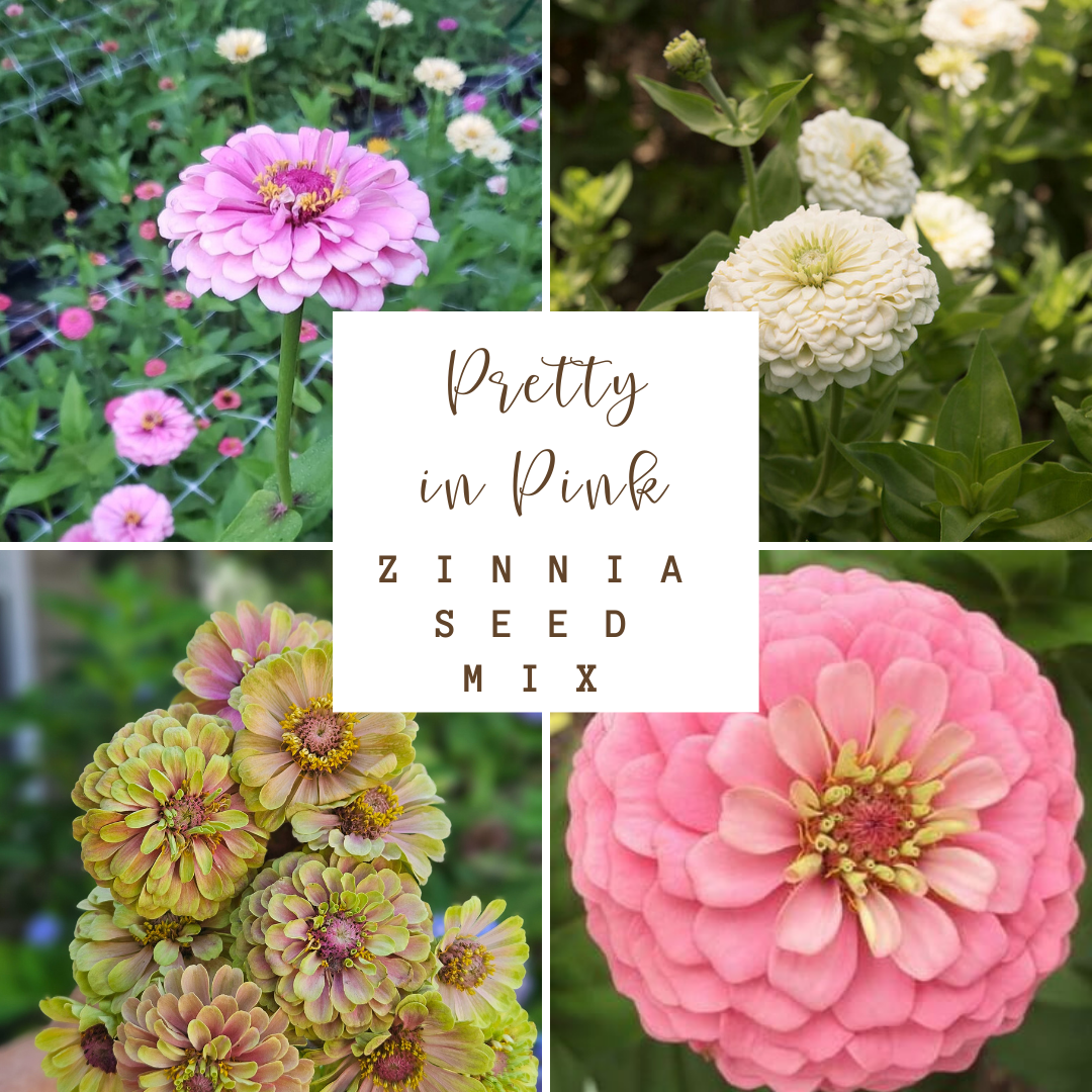Pretty in Pink Zinnia Seed Mix