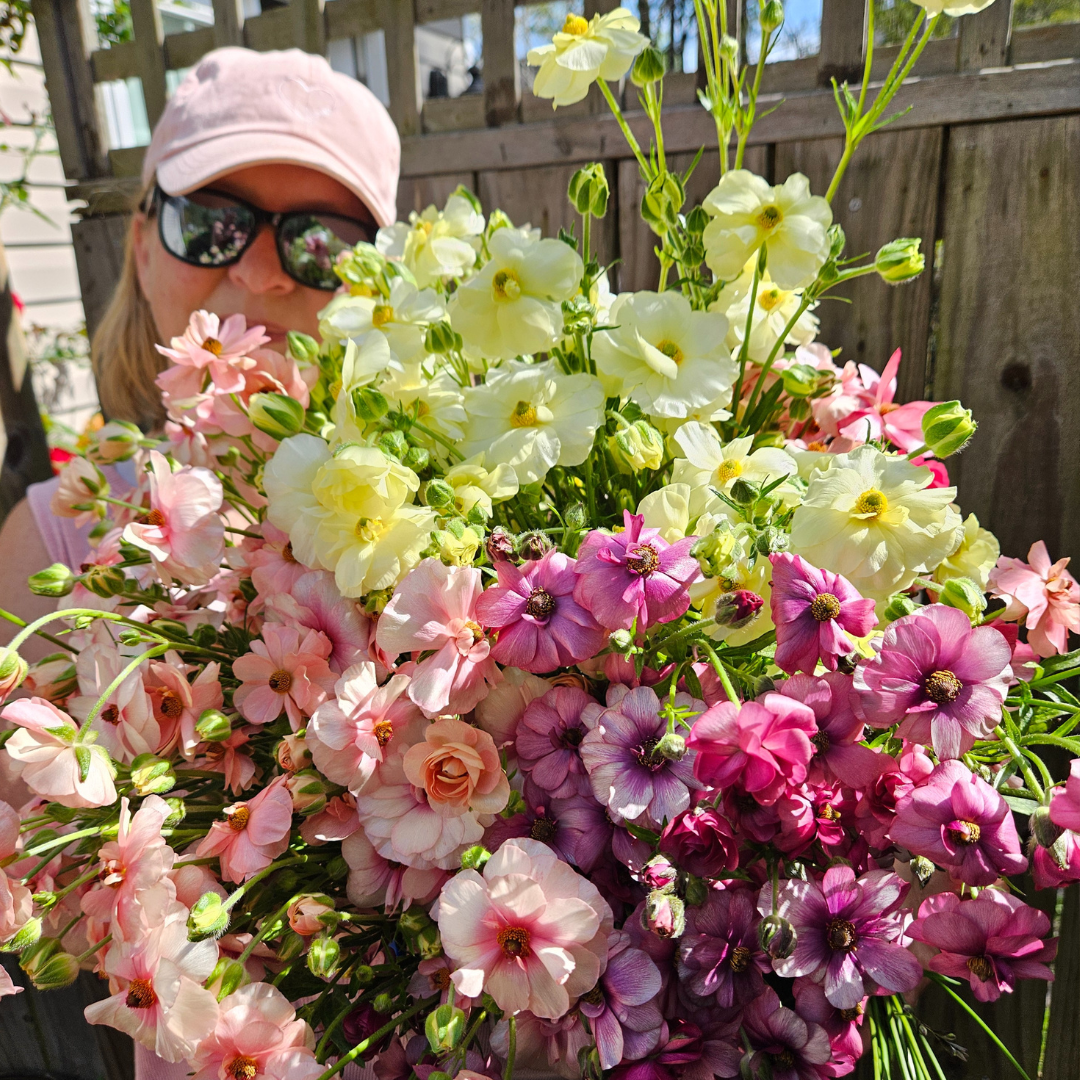 butterfly ranunculus for Wilmington NC floral designers