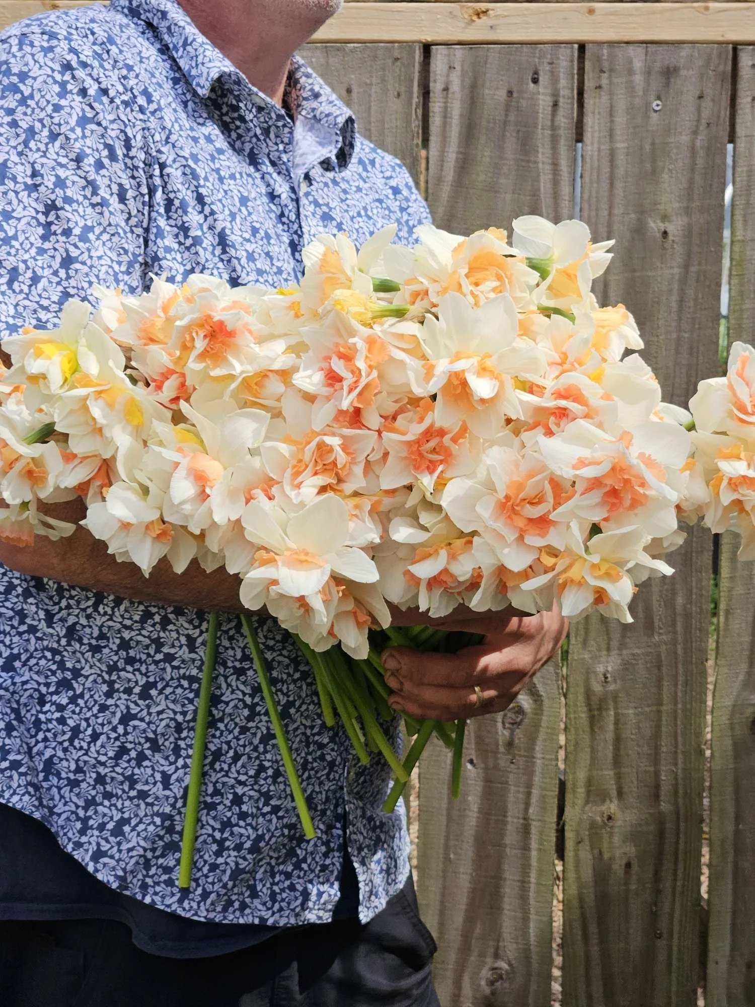 specialty narcissus for Wilmington floral designers