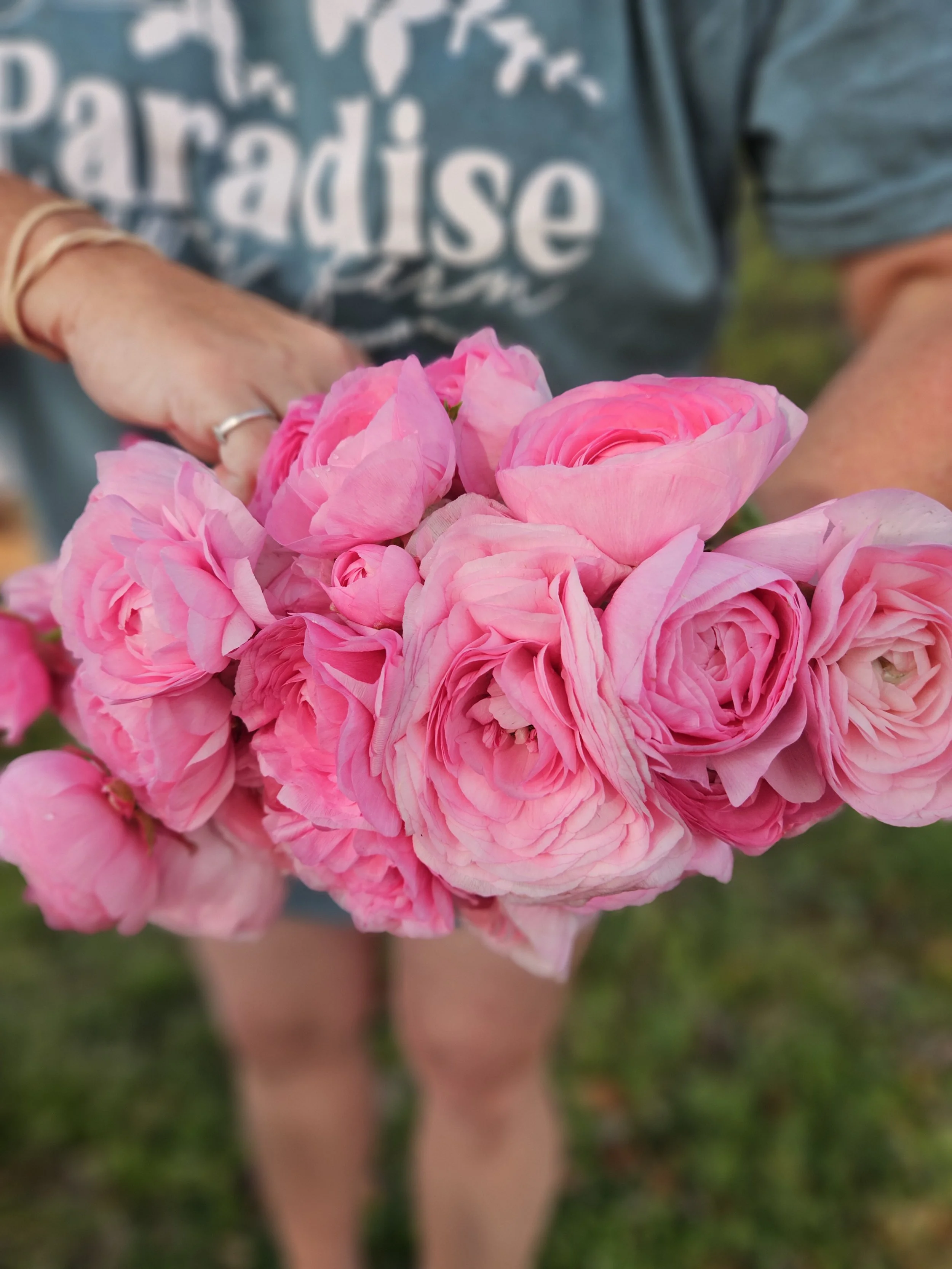 half clone marshmallow ranunculus 2.jpg