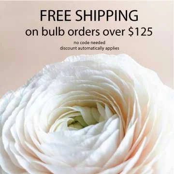 free-shipping-over-125.jpg