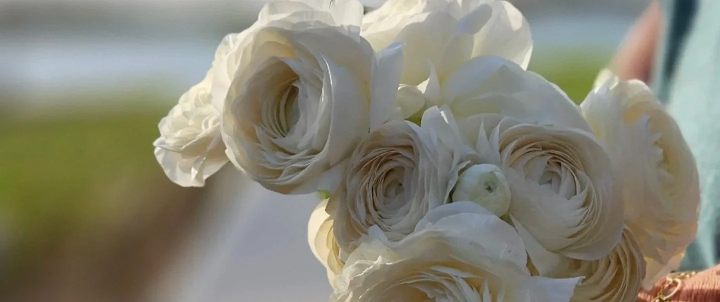 white ranunculus