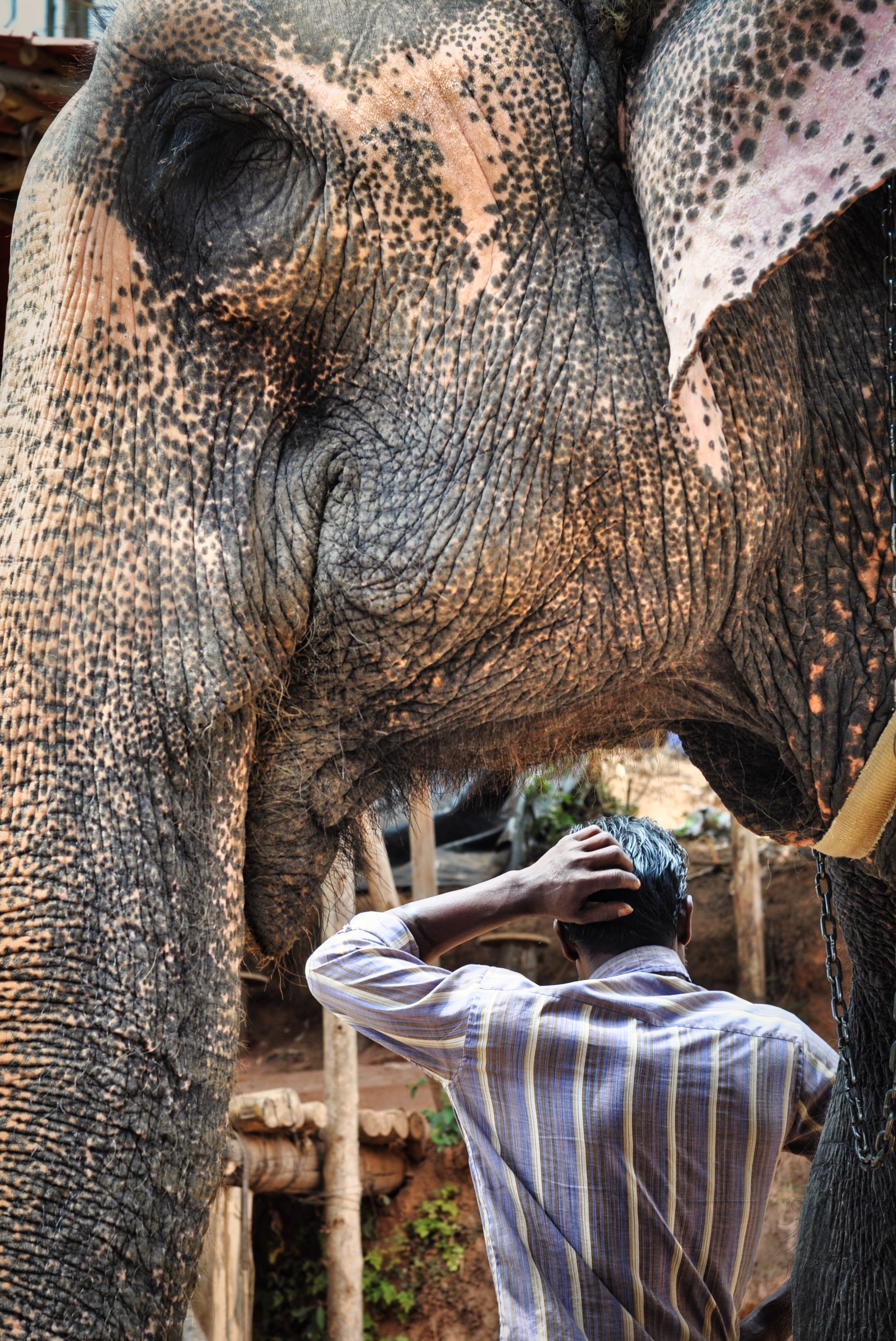 South of India | 2016