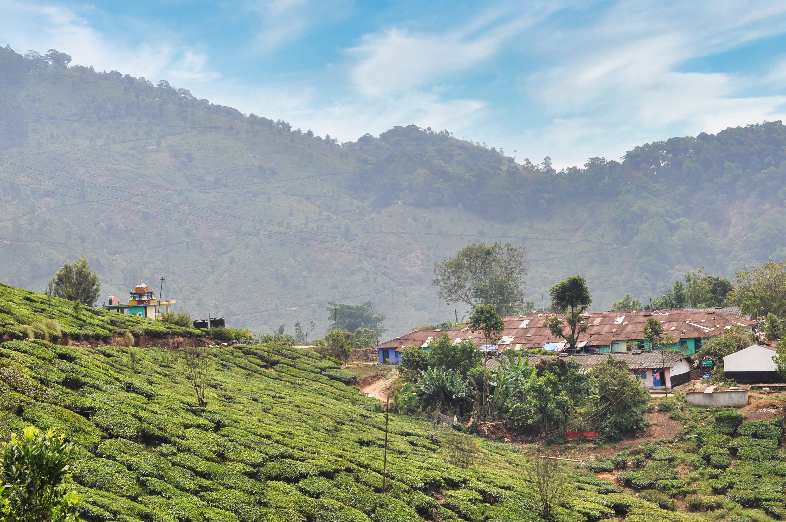 Munnar, India | 2016