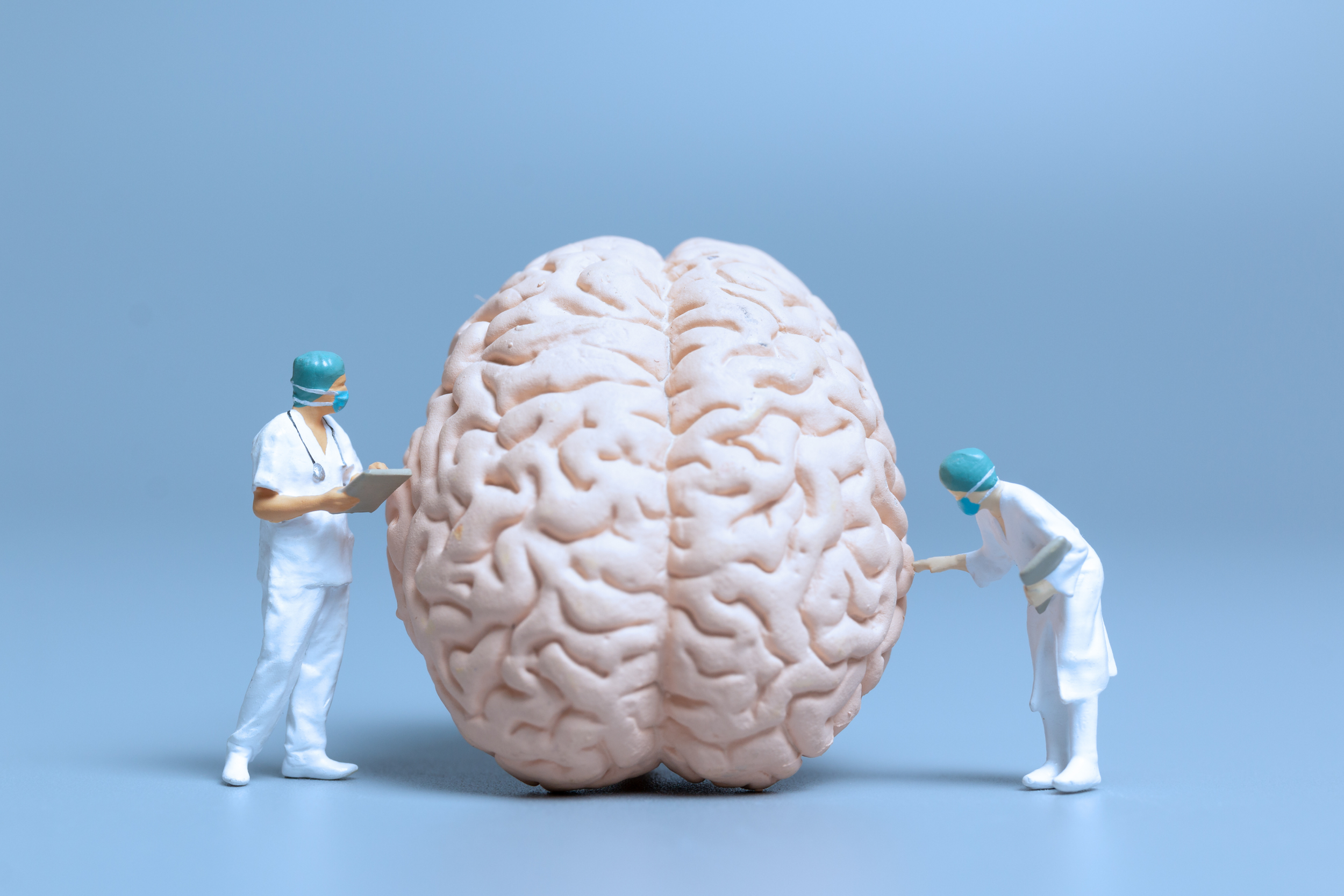 ALZHEIMER'S AND BRAIN HEALTH: An Integrative Approach