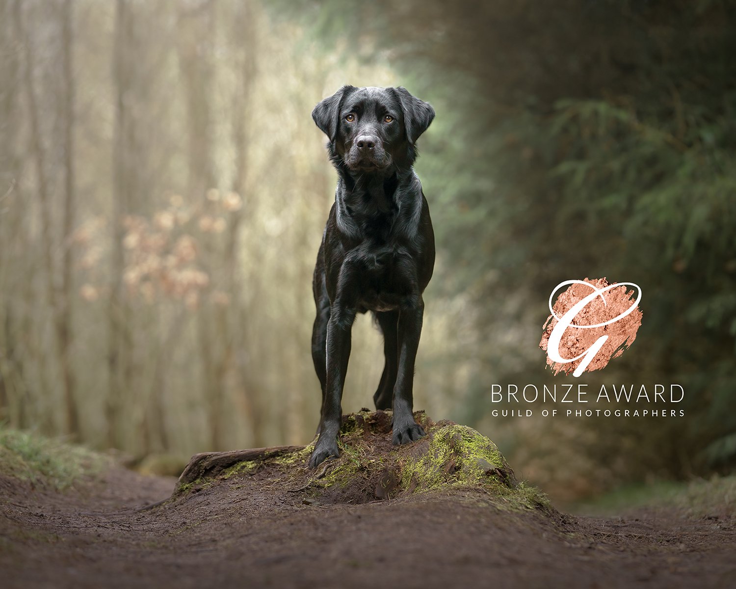 Duke Mound 12_x8_.jpg