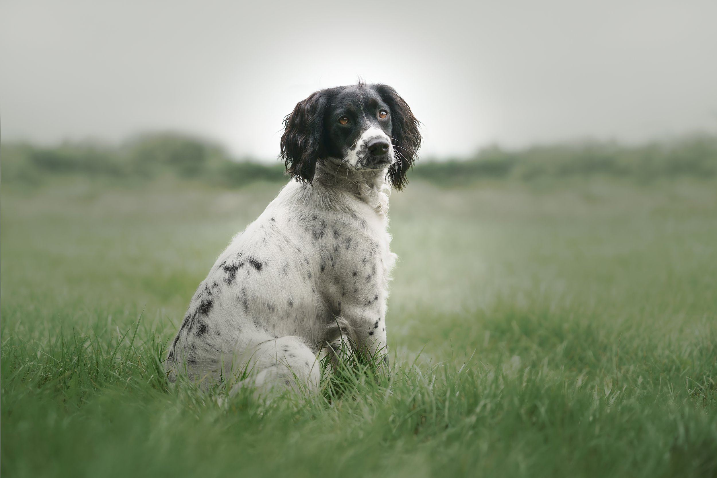 Maya Sitting Final.jpg