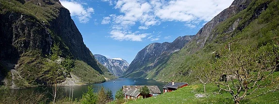 Ramsøy Lederstilling.webp