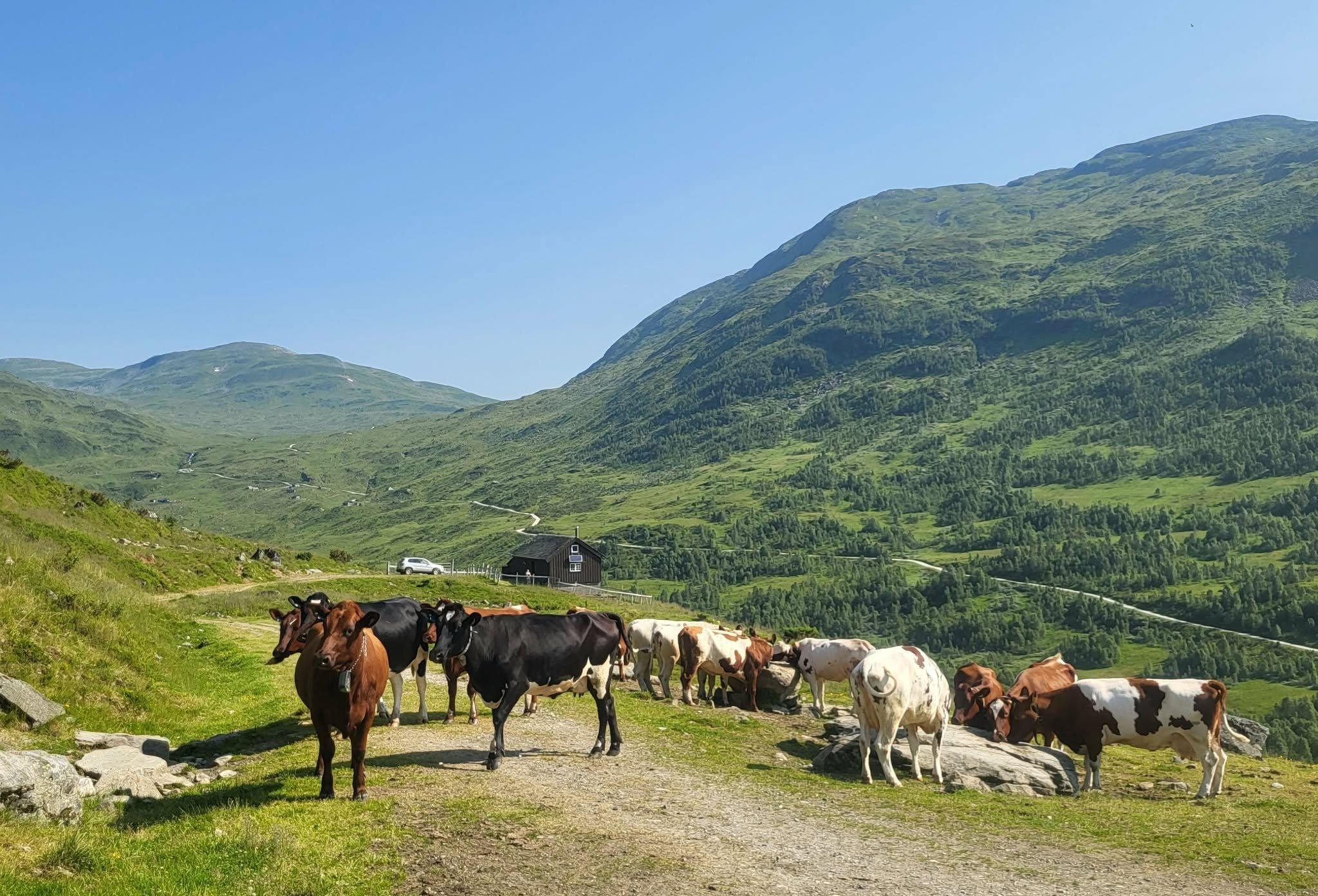 Stølsfagdag i Brekkedalen, Voss herad 