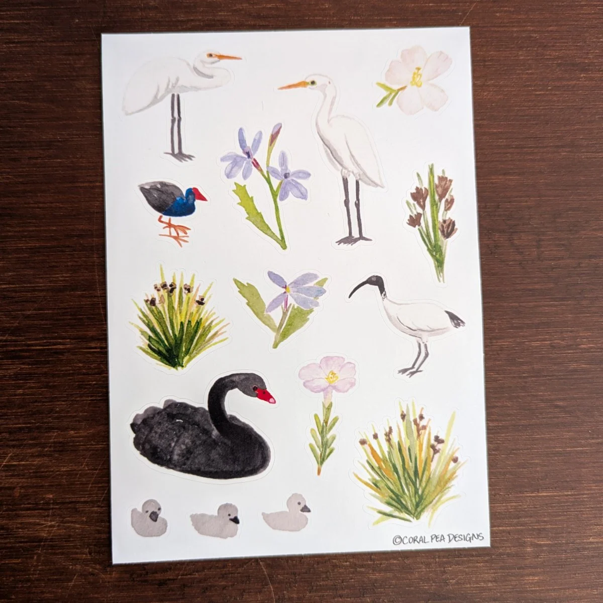 StickerSheet-WaterBirds_fullsheet.jpg