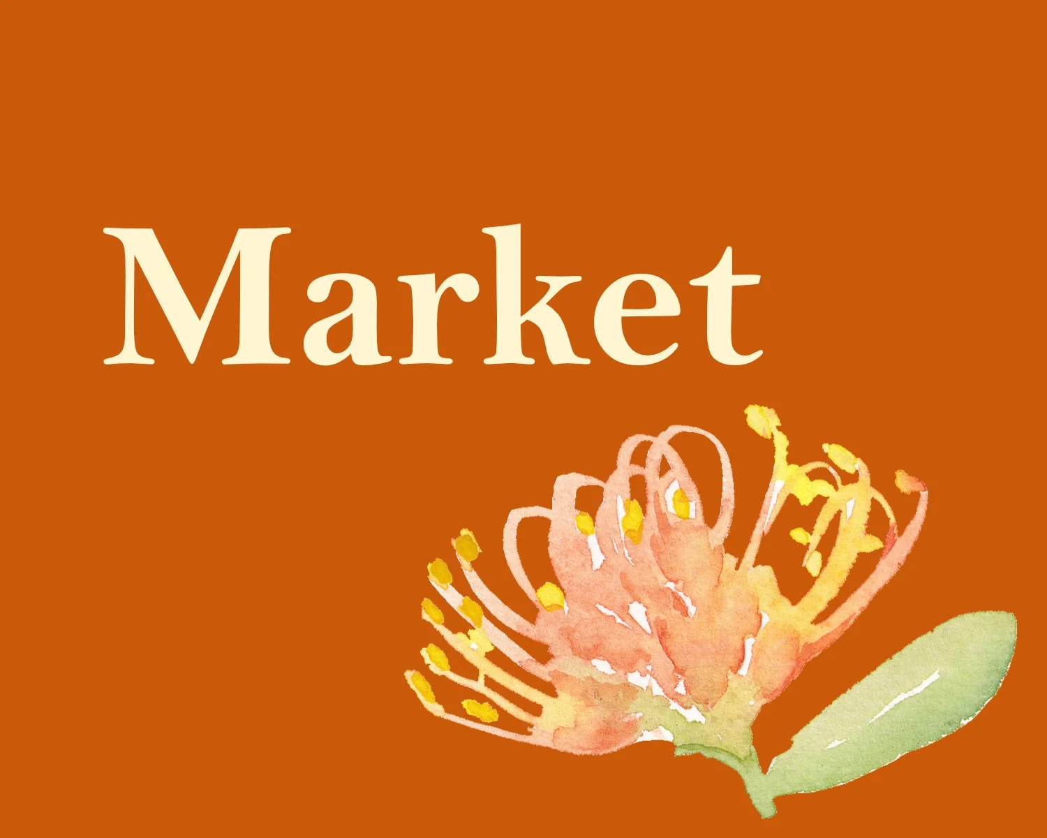NAIDOC Belmont Markets