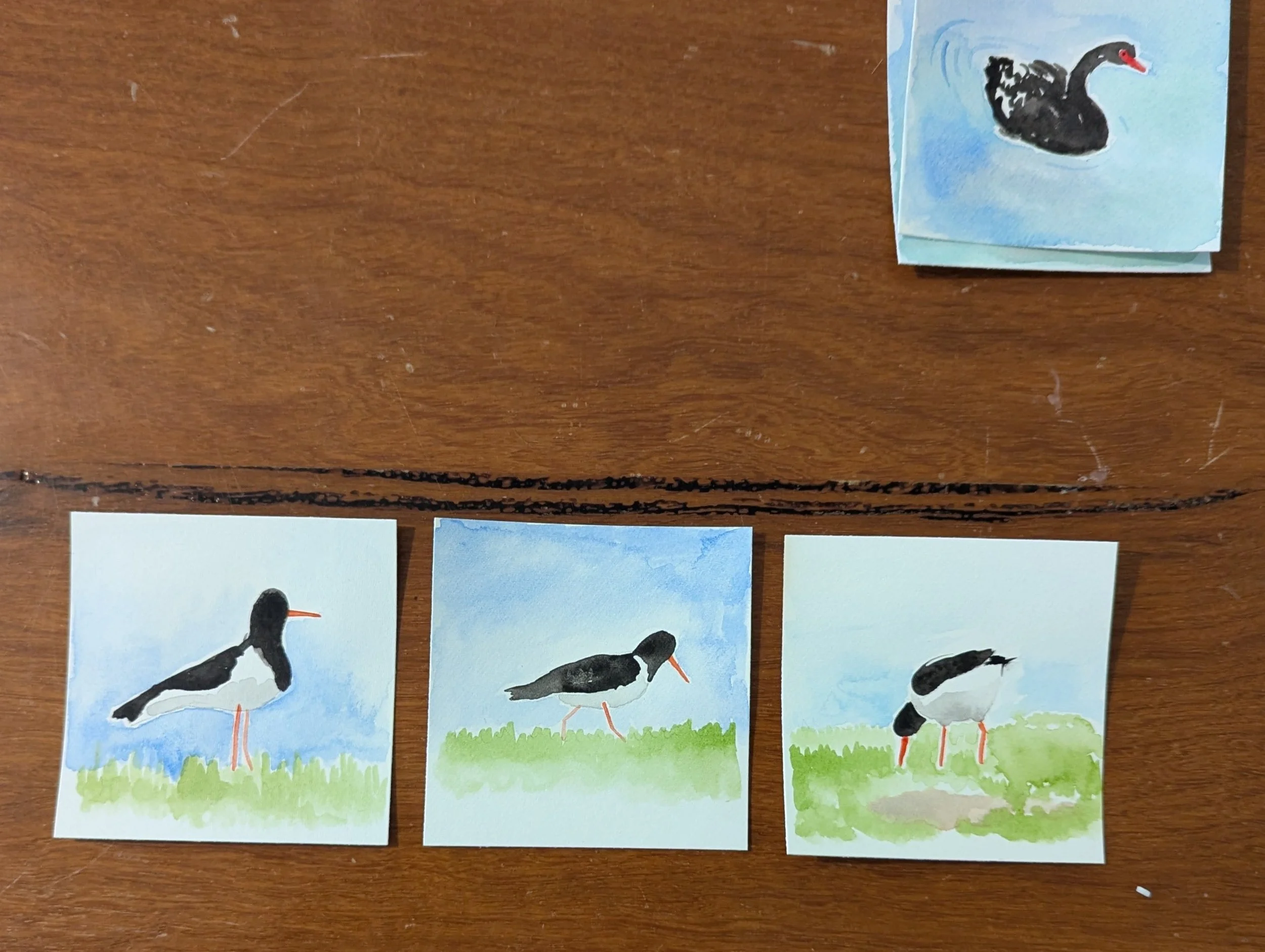 oysterCatchers-edited.jpg