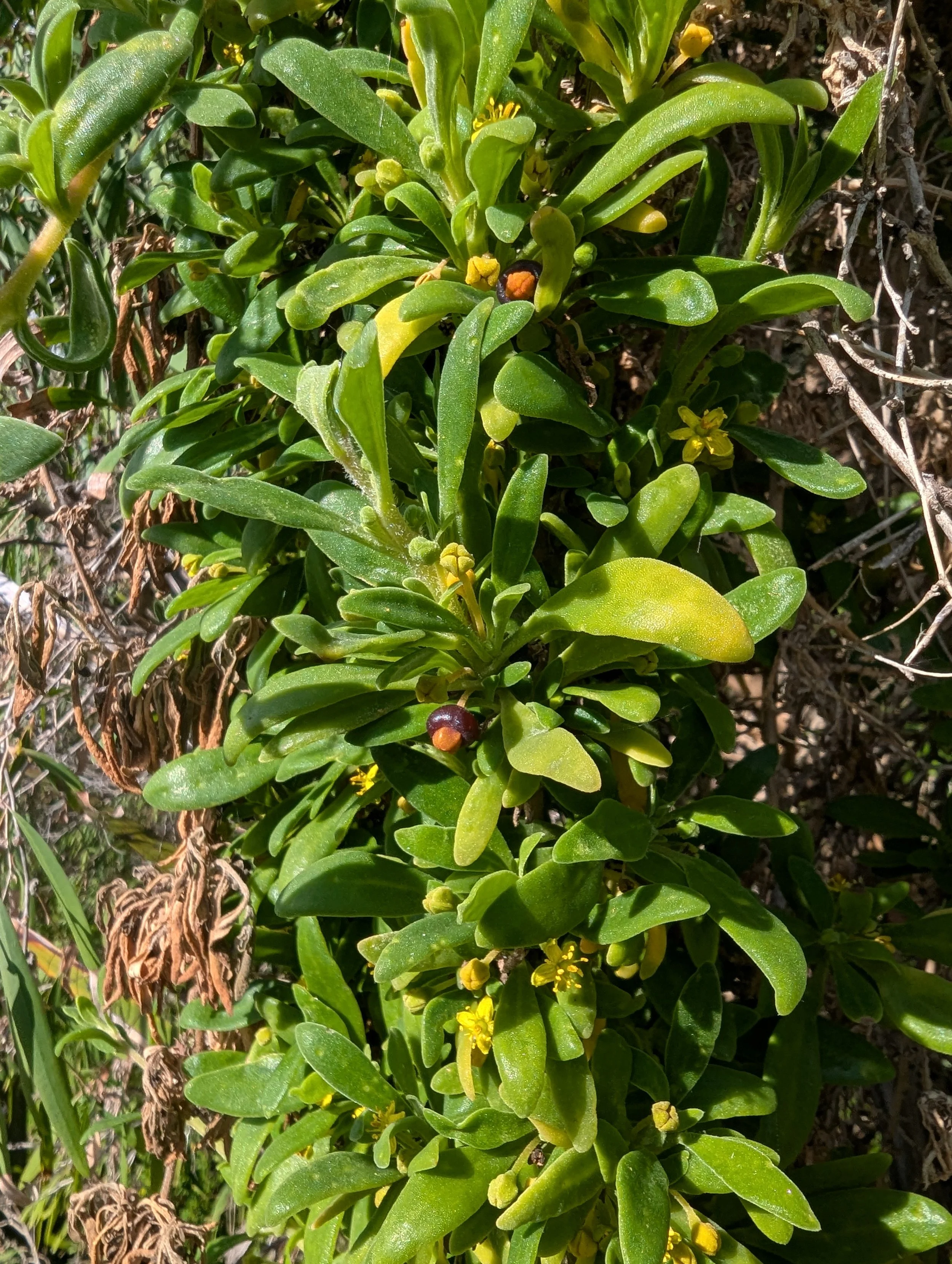 PXL_20260526_031411833.jpg