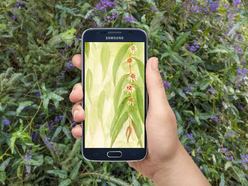 PhoneMockup.jpg