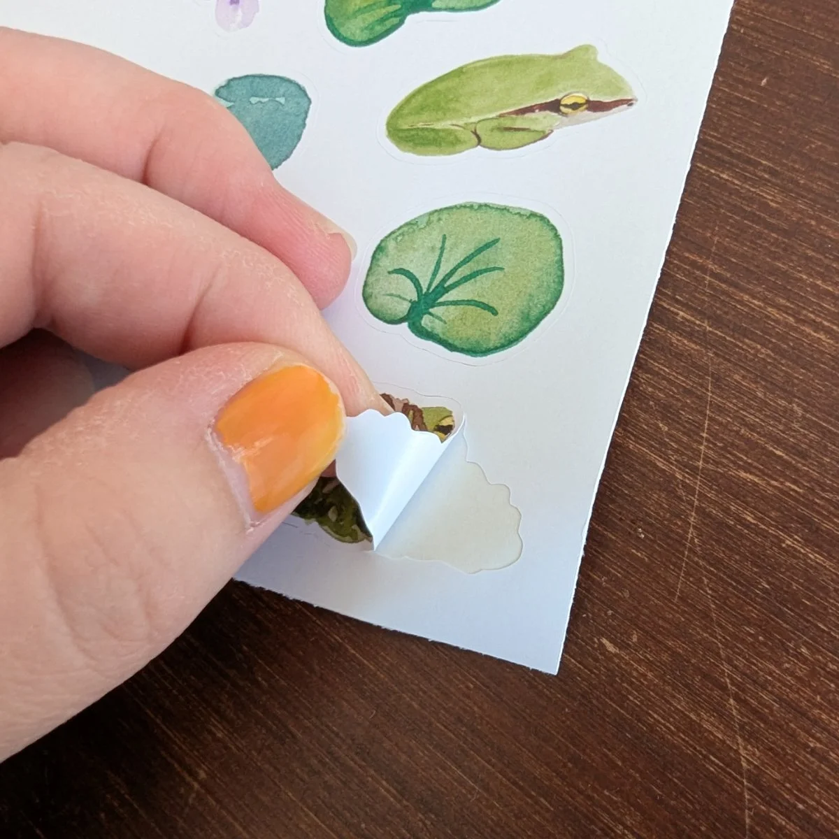 OnlinePictures_Stickers_Frogs-close2.jpg