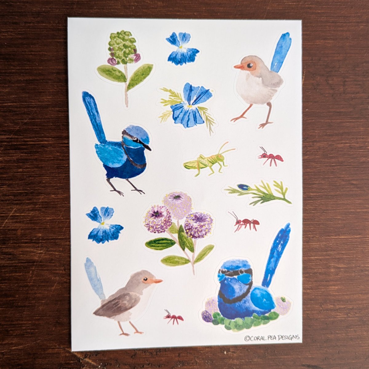 Splendid Blue Fairy Wren Sticker Sheet