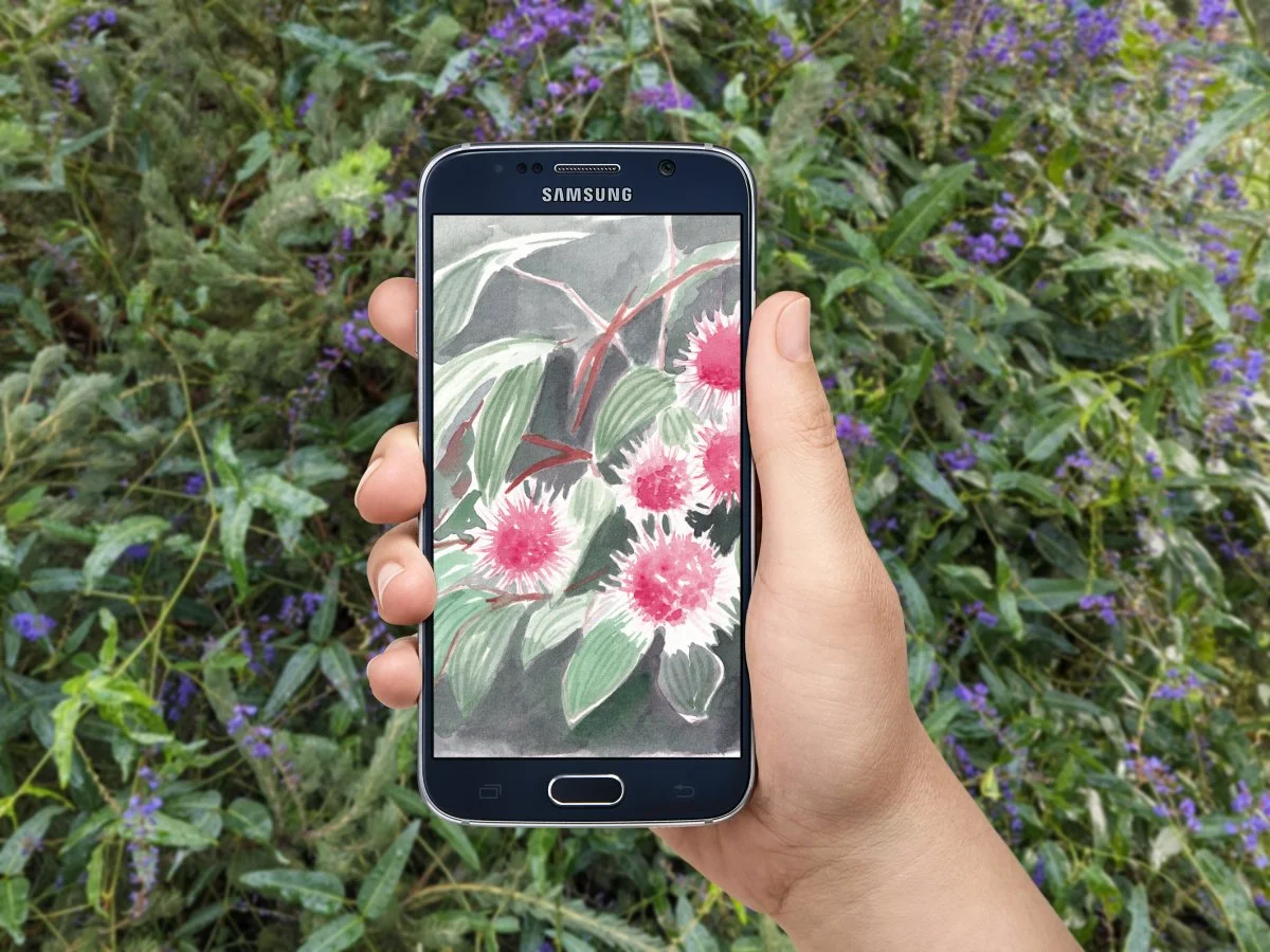 PhoneMockup-MayHakea.jpg