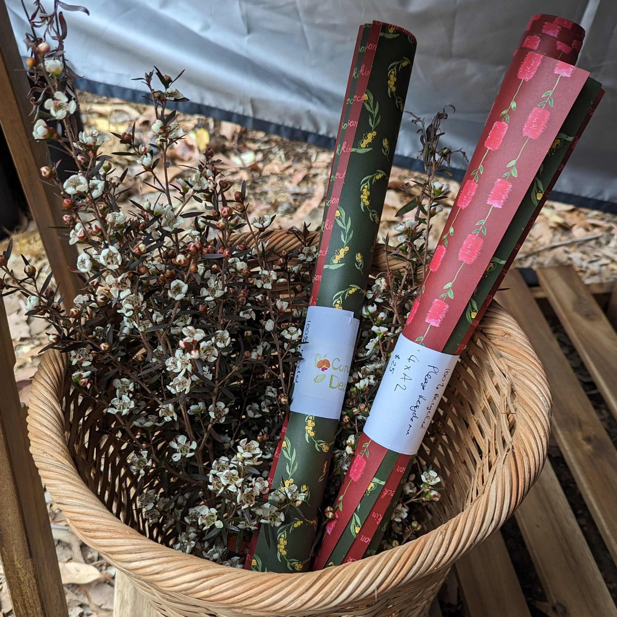 PXL_20231112_065457082a.jpg (Copy)