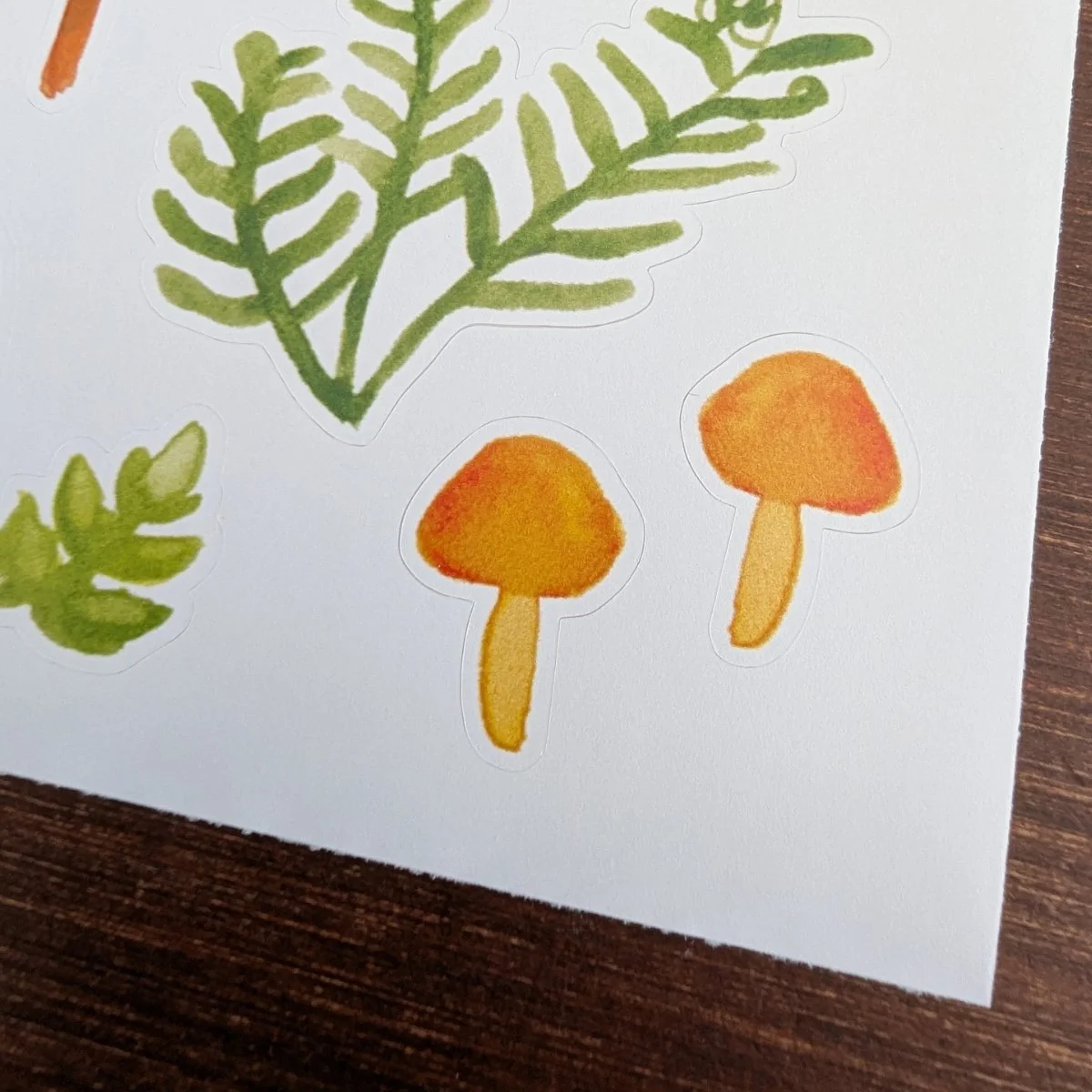OnlinePictures_Stickers-Fungi-close1a.jpg