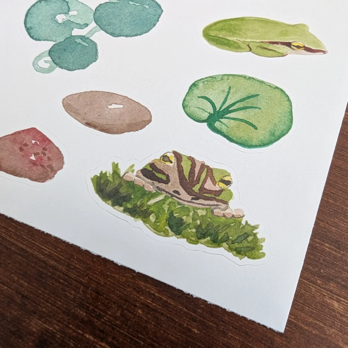 OnlinePictures_Stickers_Frogs-close1.jpg