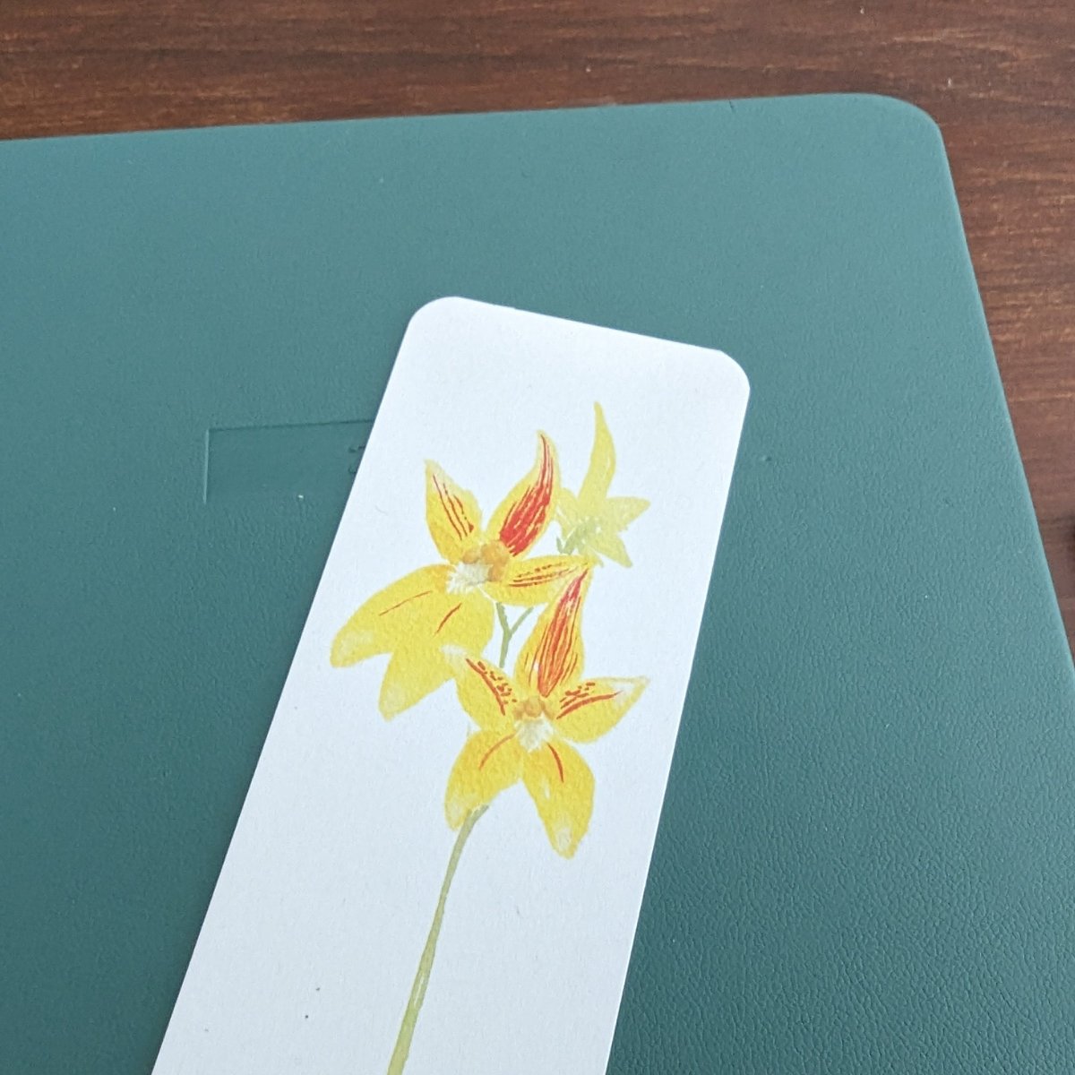Bookmark cowslip orchid on notebook- close up.jpg