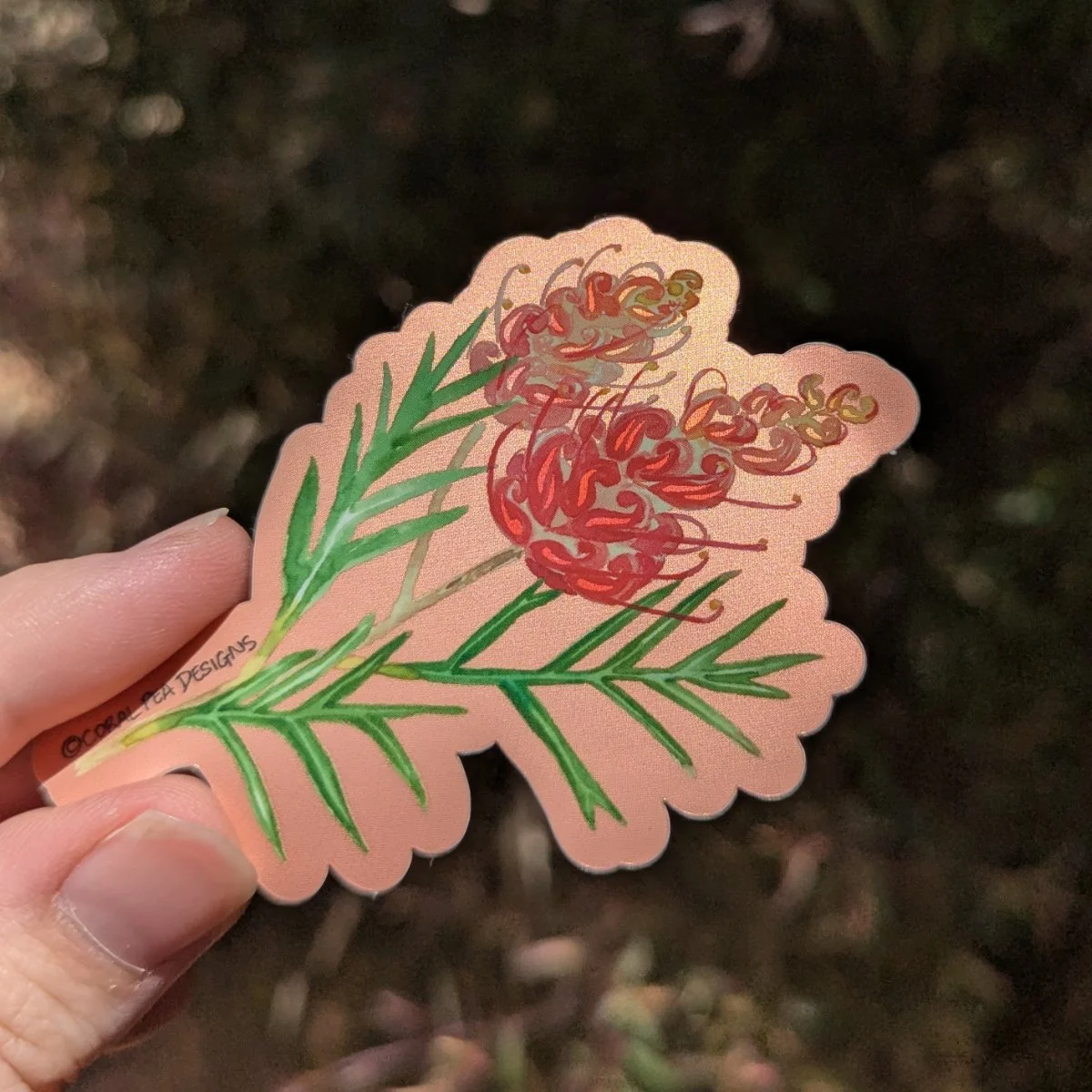 Grevillea Sticker