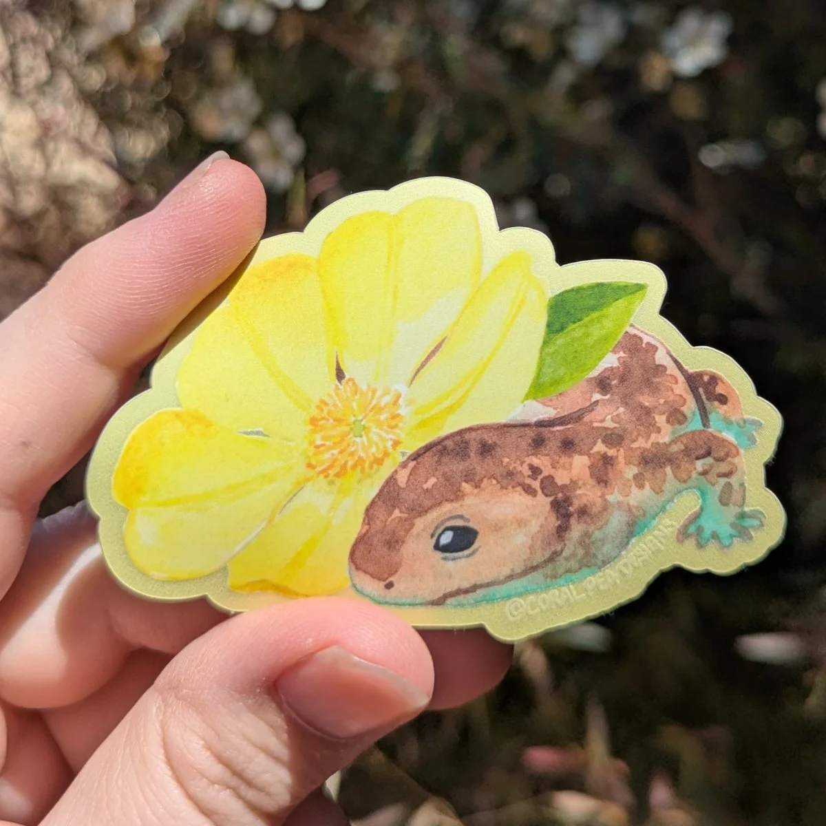 Bobtail and Hibbertia Sticker