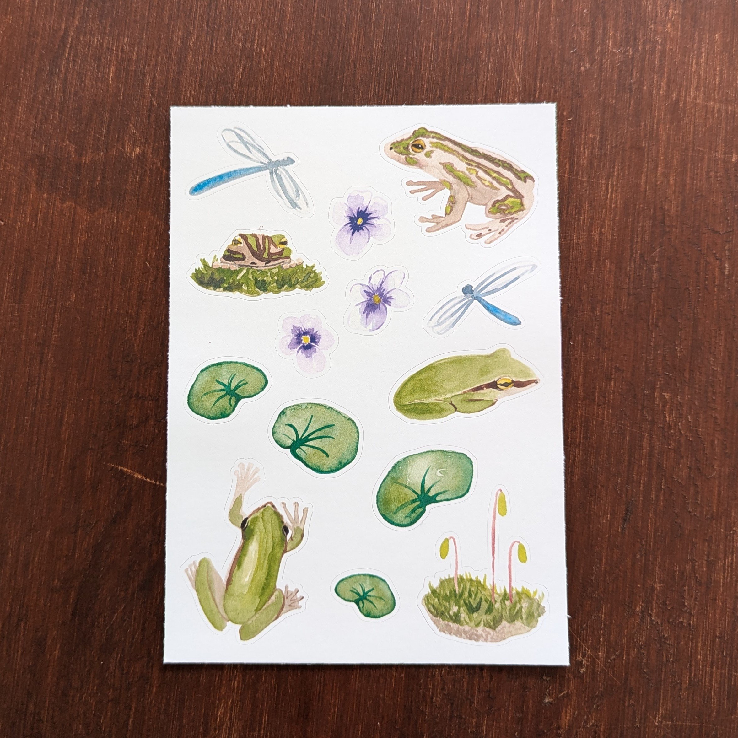 Australian Frogs Sticker Sheet