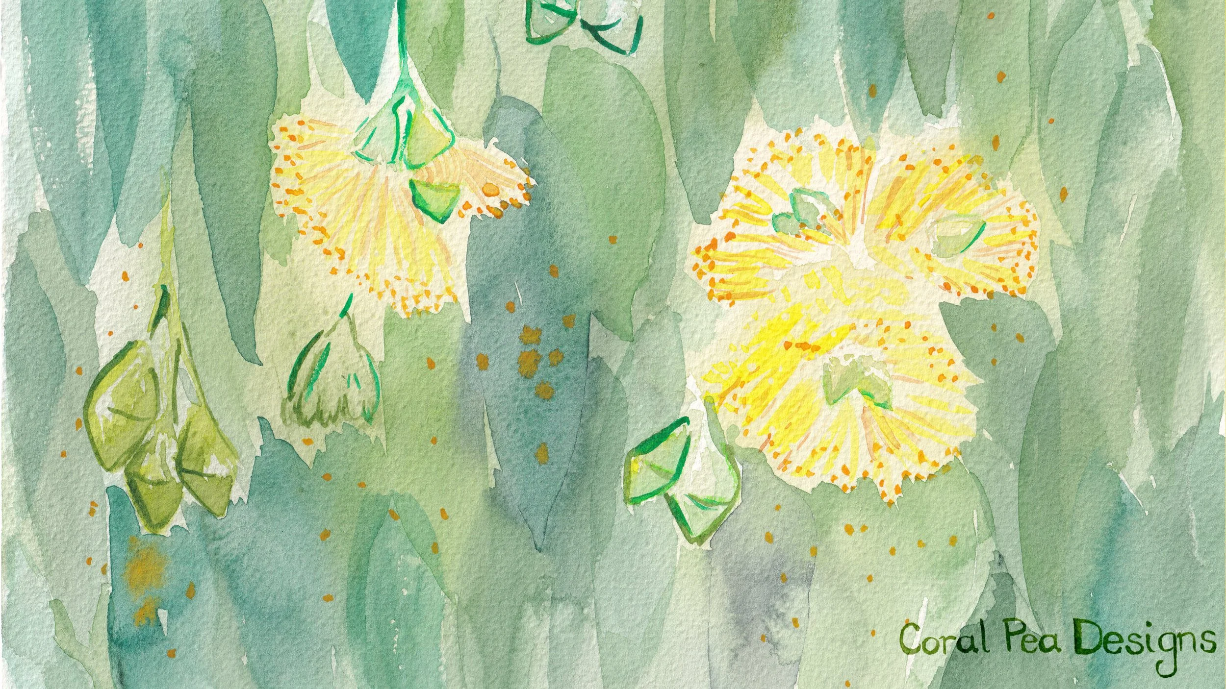 desktop computer background with yellow gumflowers and blue-green leaves