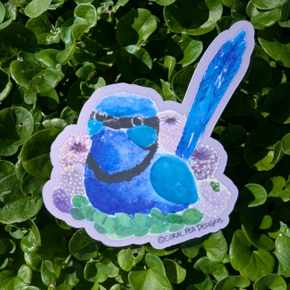 Splendid Blue Fairy Wren Sticker (male)