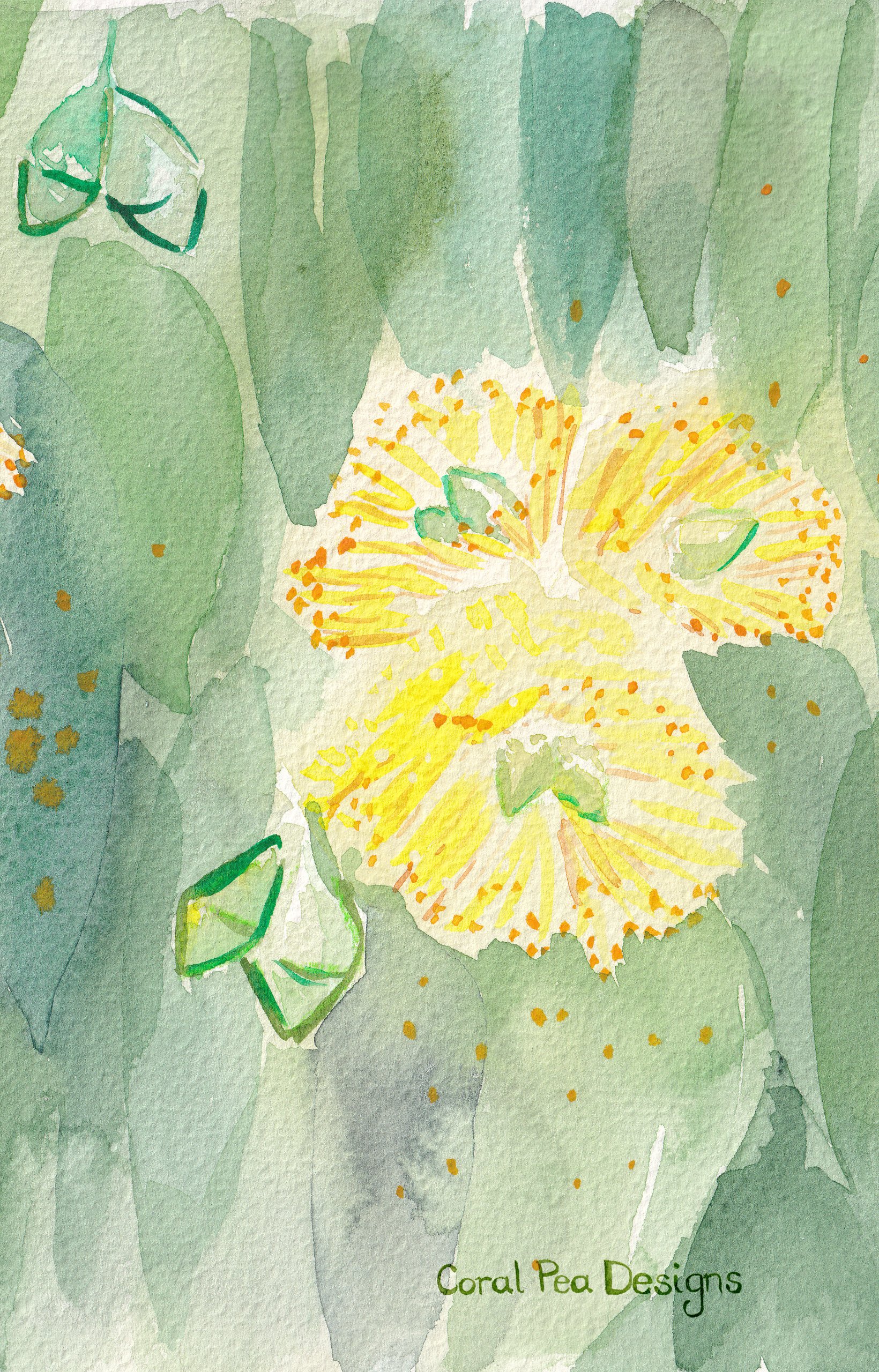 phone background with yellow gumflowers and blue-green leaves