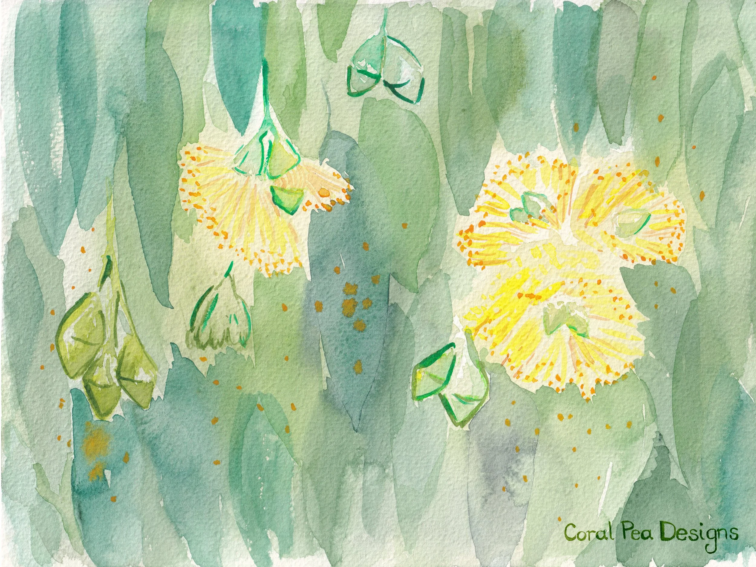 Ipad background with yellow gumflowers and blue-green leaves