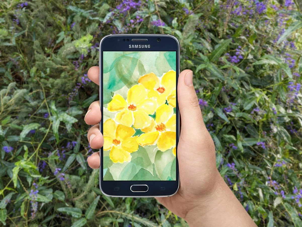 OctHibbertia_PhoneMockup.jpg