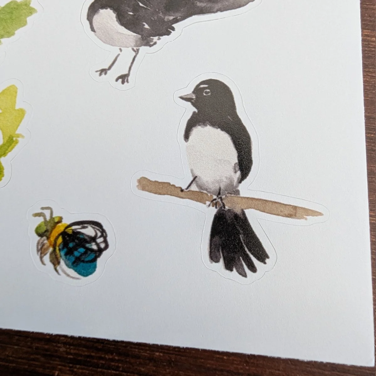 OnlinePictures_Stickers_BackyardBirds_close1.jpg