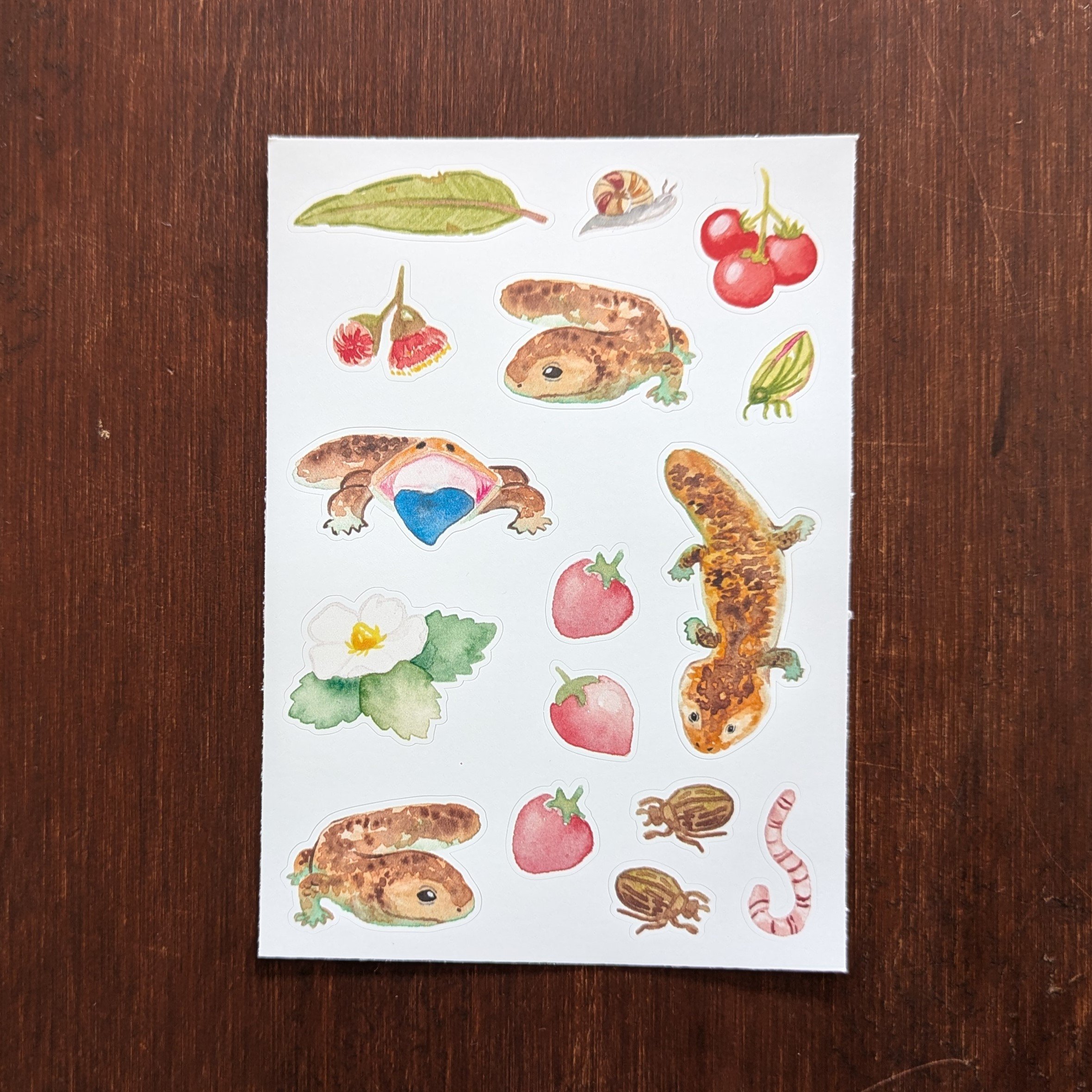 Bobtail Lizard Sticker Sheet