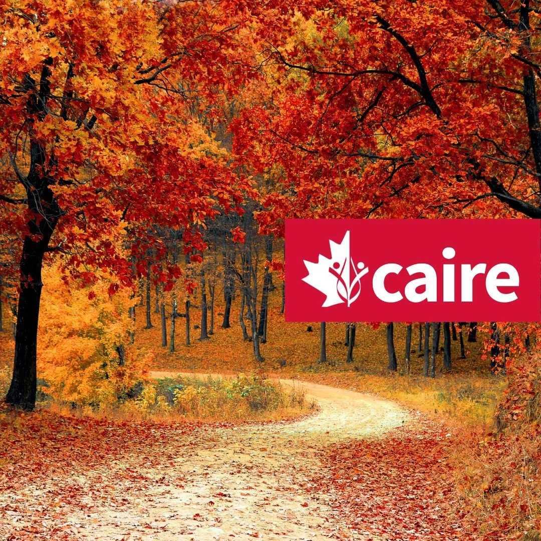 Fall 2023 Newsletter