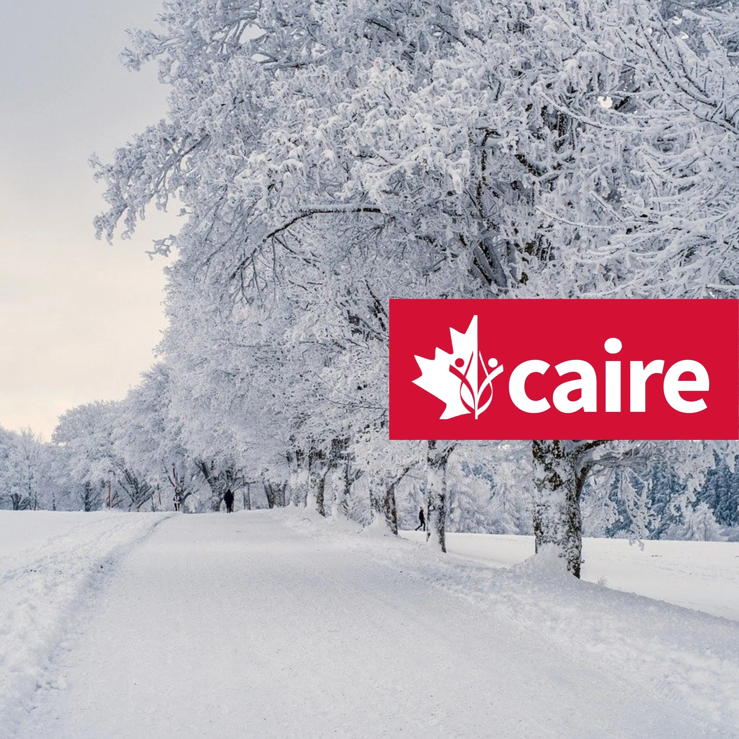 Winter 2023 Newsletter
