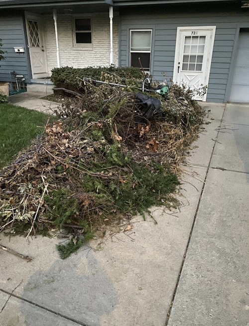 Yard Waste and Tree Removal Services — TLC Junk Removal Omaha Yard