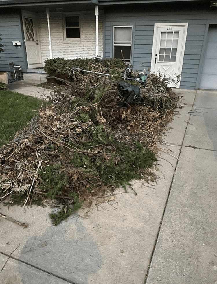 Yard Waste and Tree Removal Services — TLC Junk Removal Omaha Yard