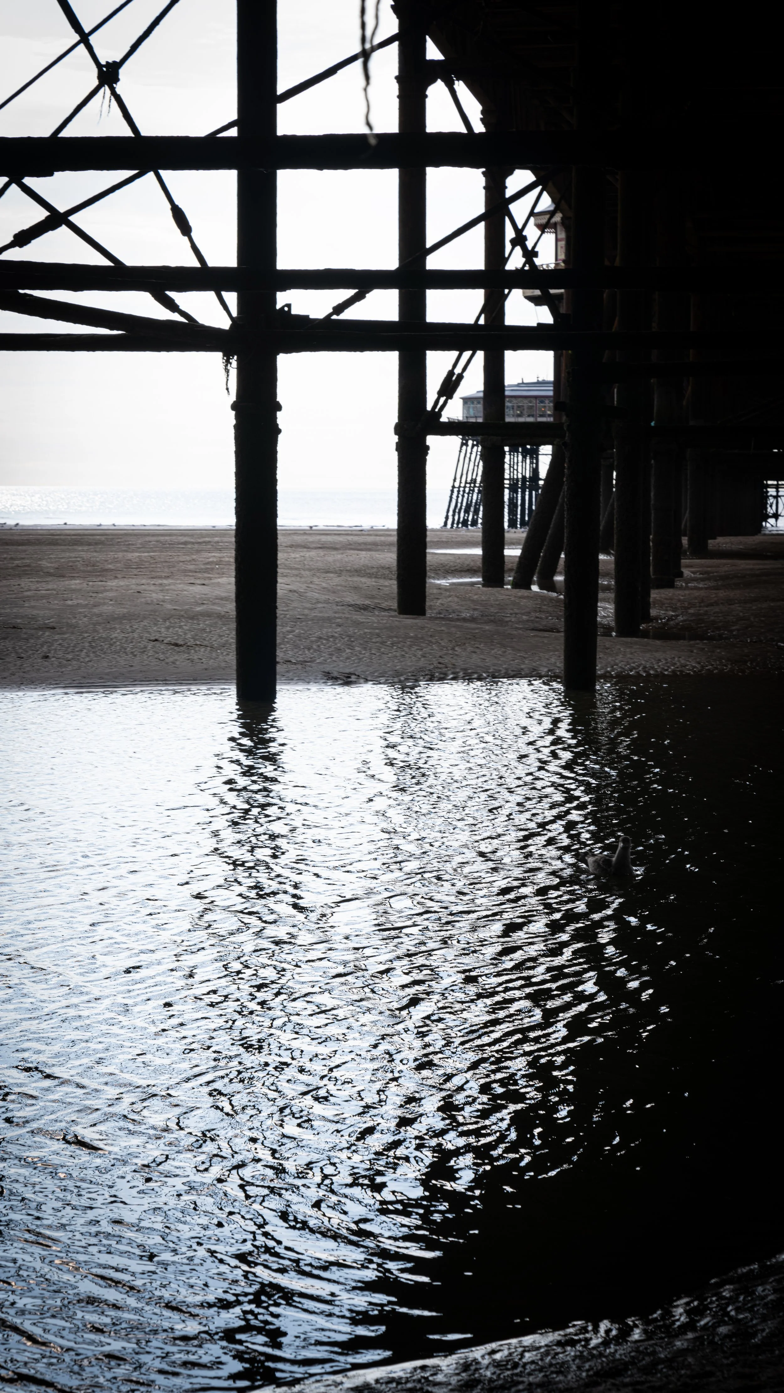 Blackpool-07.jpg