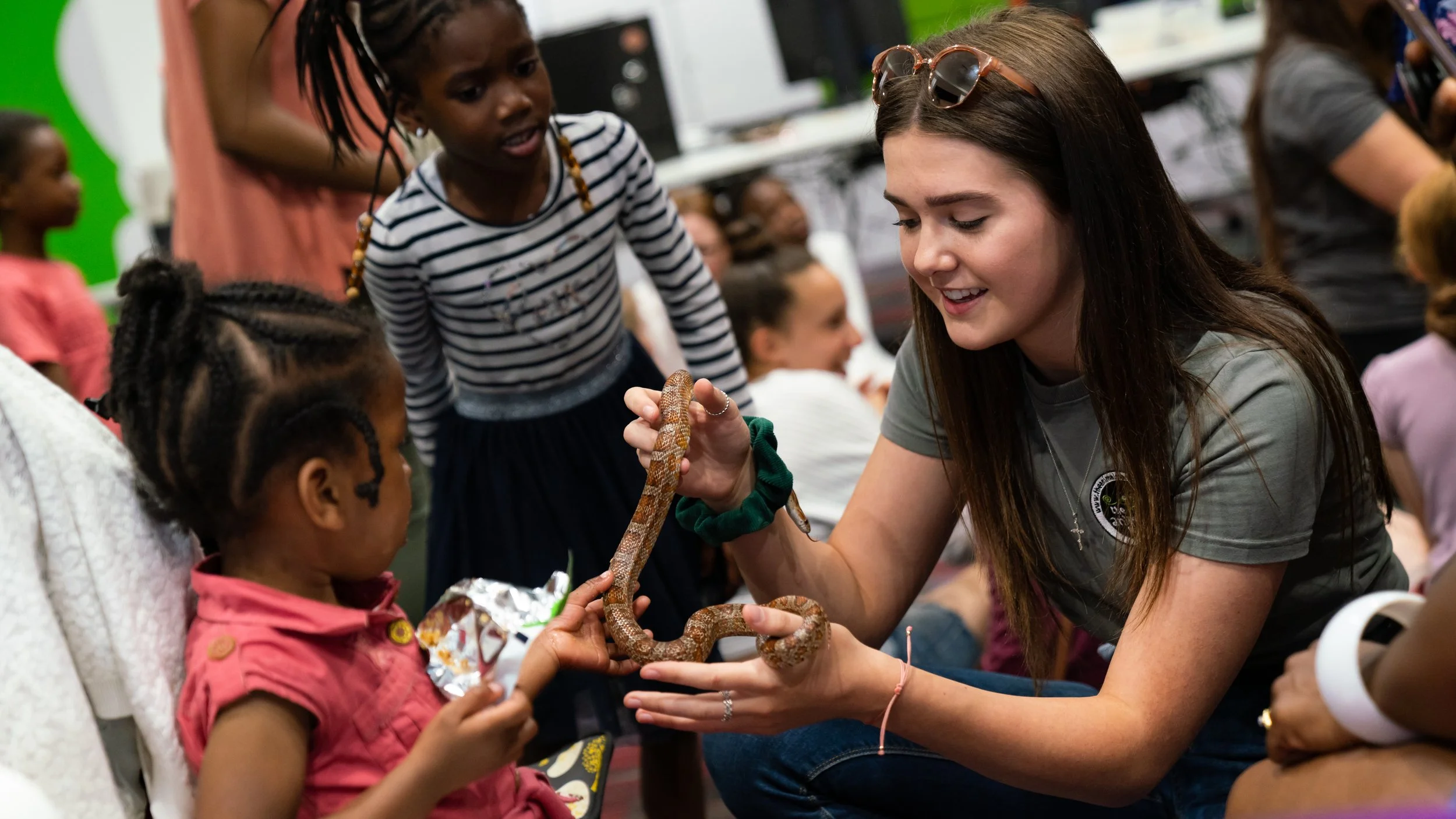 Scifest 2019