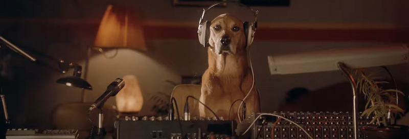 “Doggy Trax” New York Lottery | 2022 Commercial | Asst. Set Decorator 