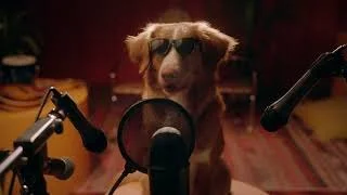 “Doggy Trax” New York Lottery | 2022 Commercial | Asst. Set Decorator 