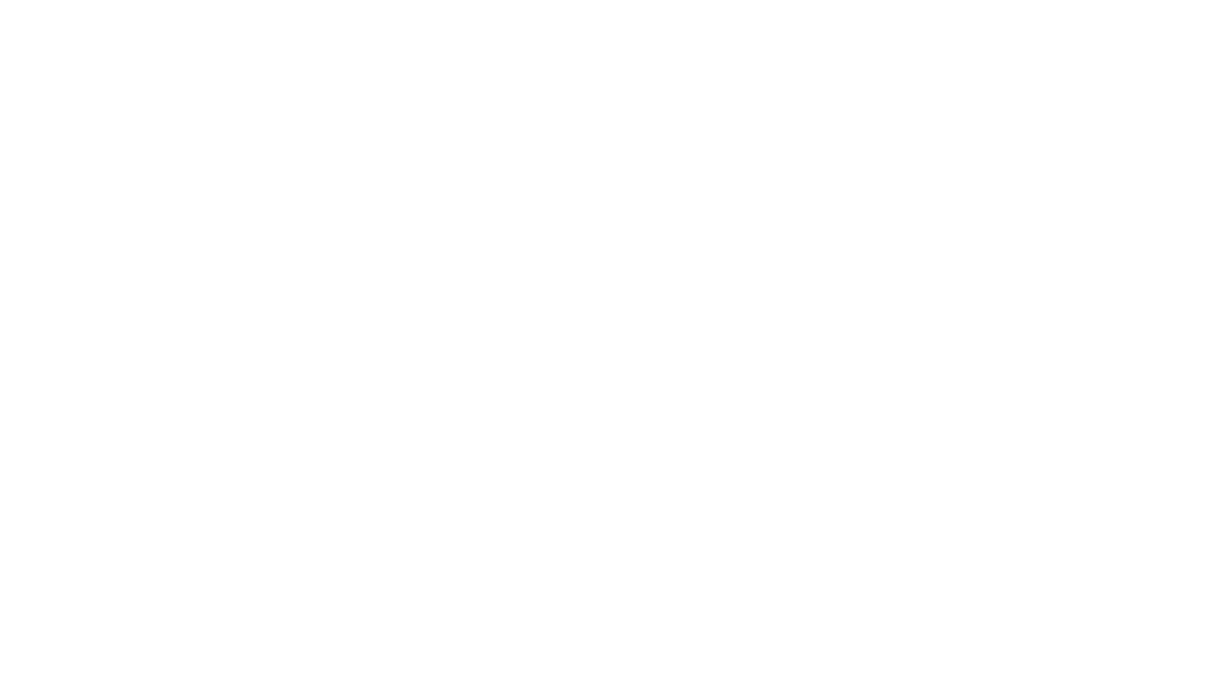 momentum_salza.png