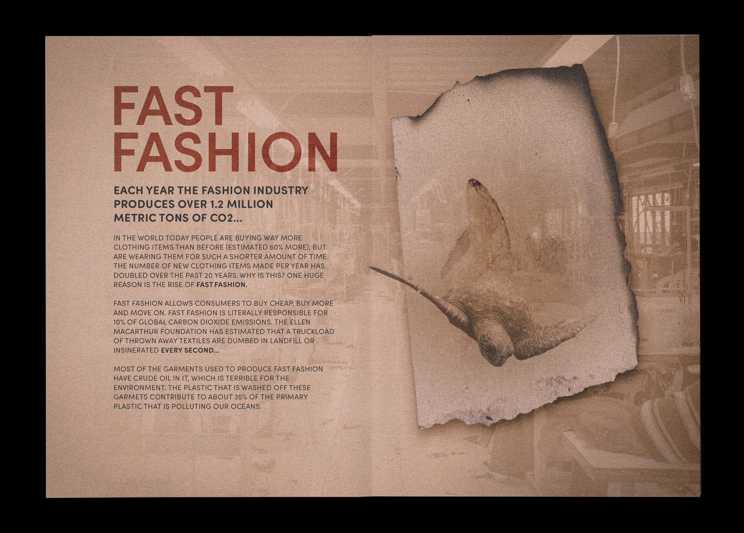 CC_Spread3_FastFashion.jpg