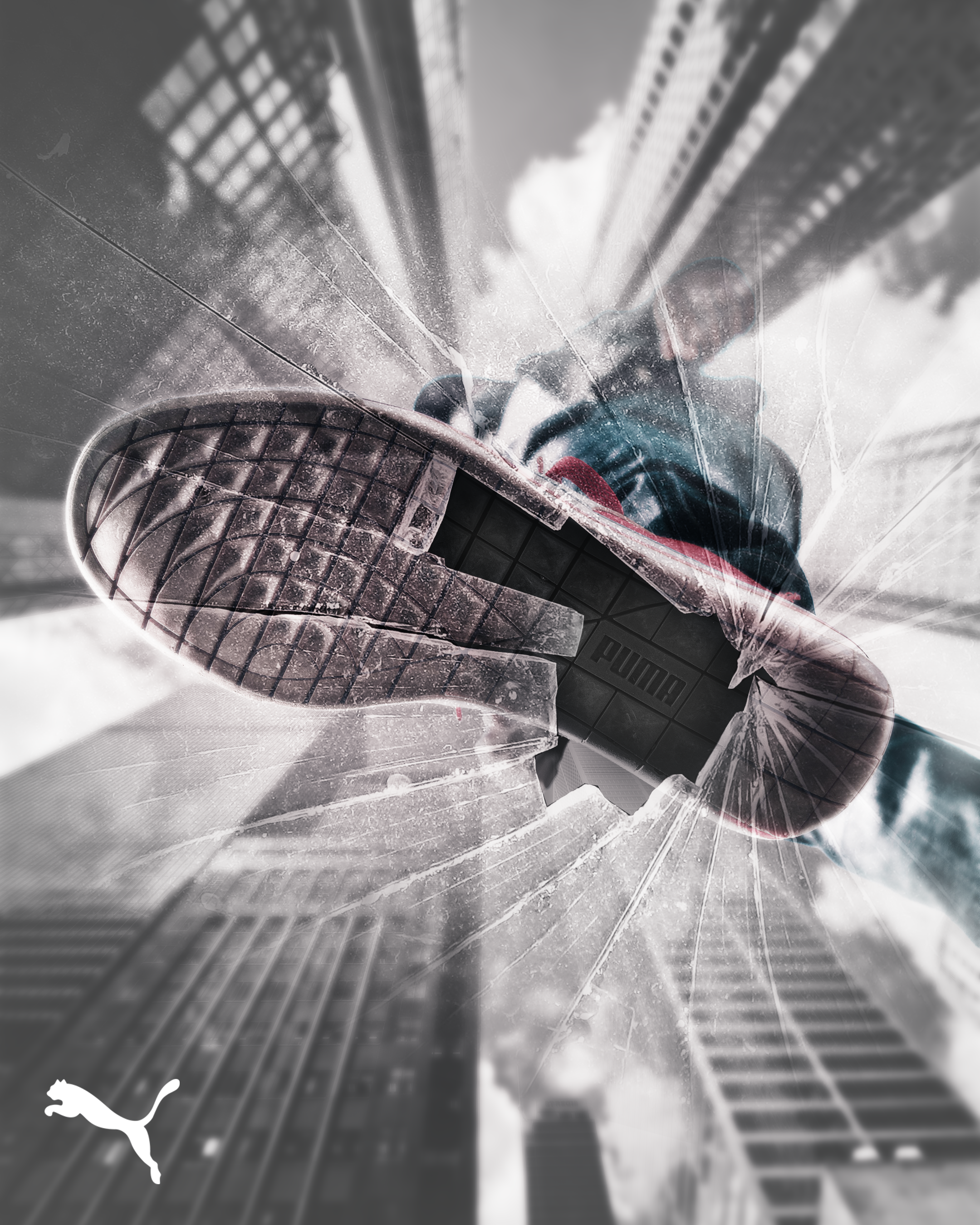 Puma_4.png