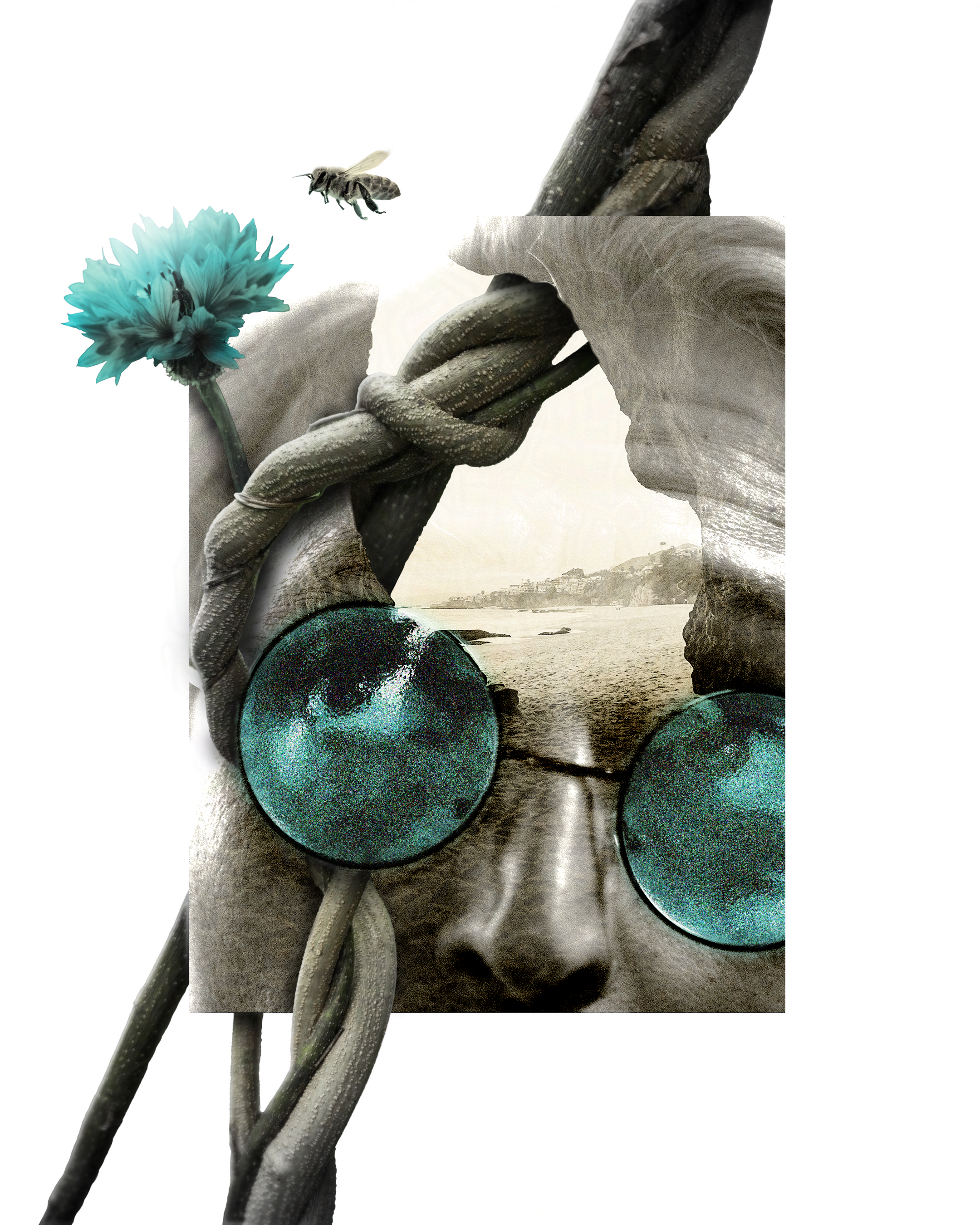 DEFAULTDay8_1c3a6da2-2d4a-4099-aa43-34ab0f720571.png