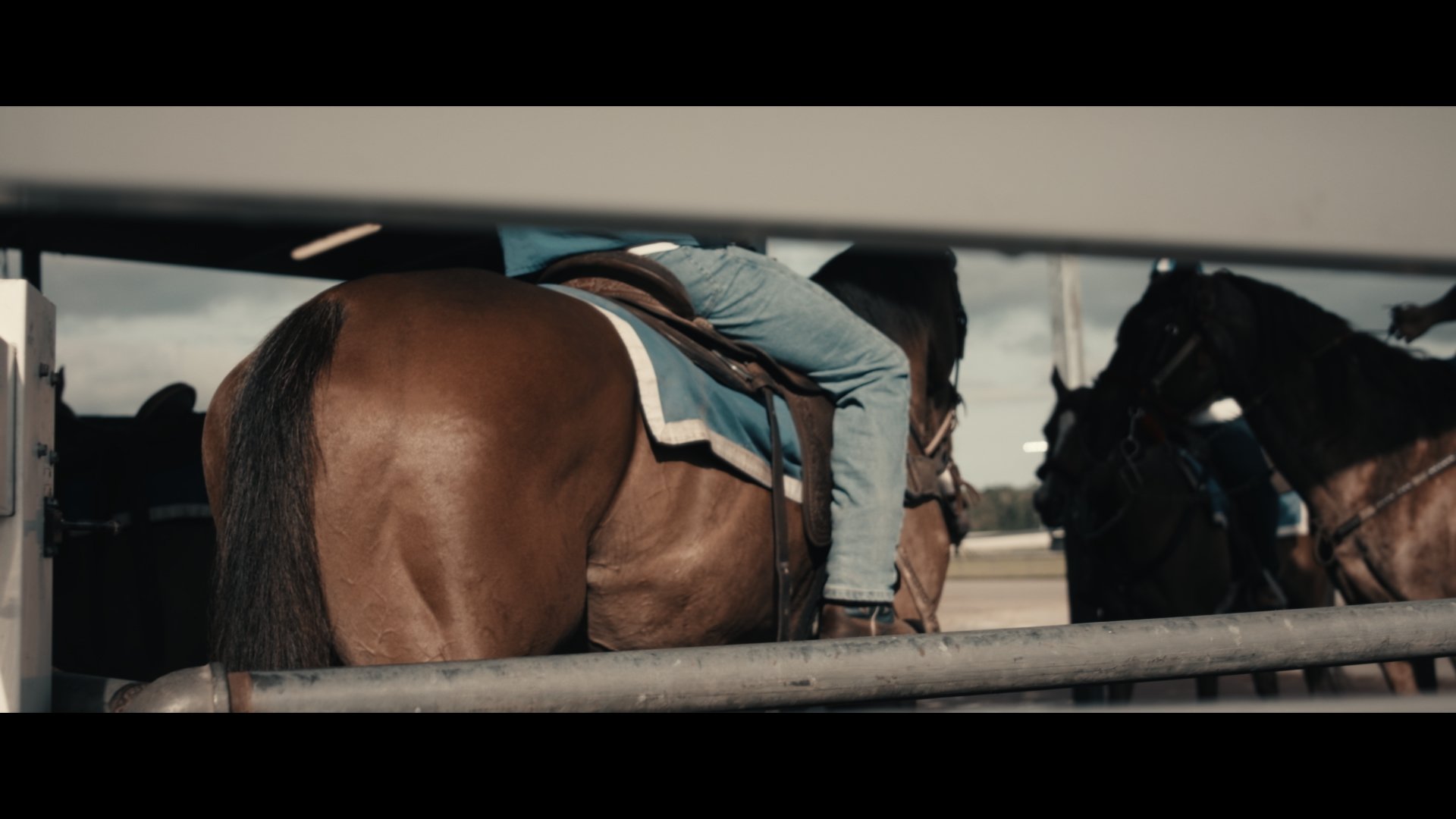 Still 2026-01-05 194810_1.10.1.jpg