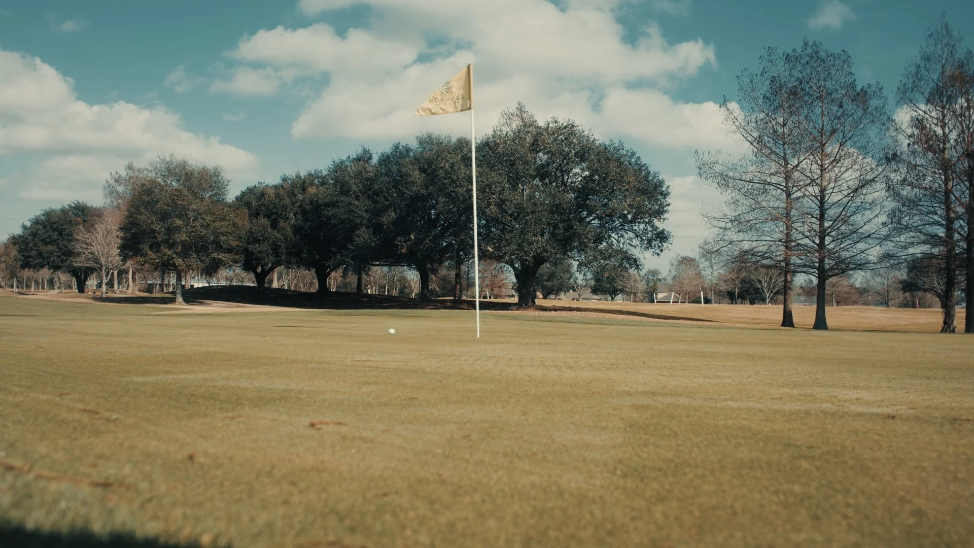 Still 2026-01-05 163446_1.30.1.jpg