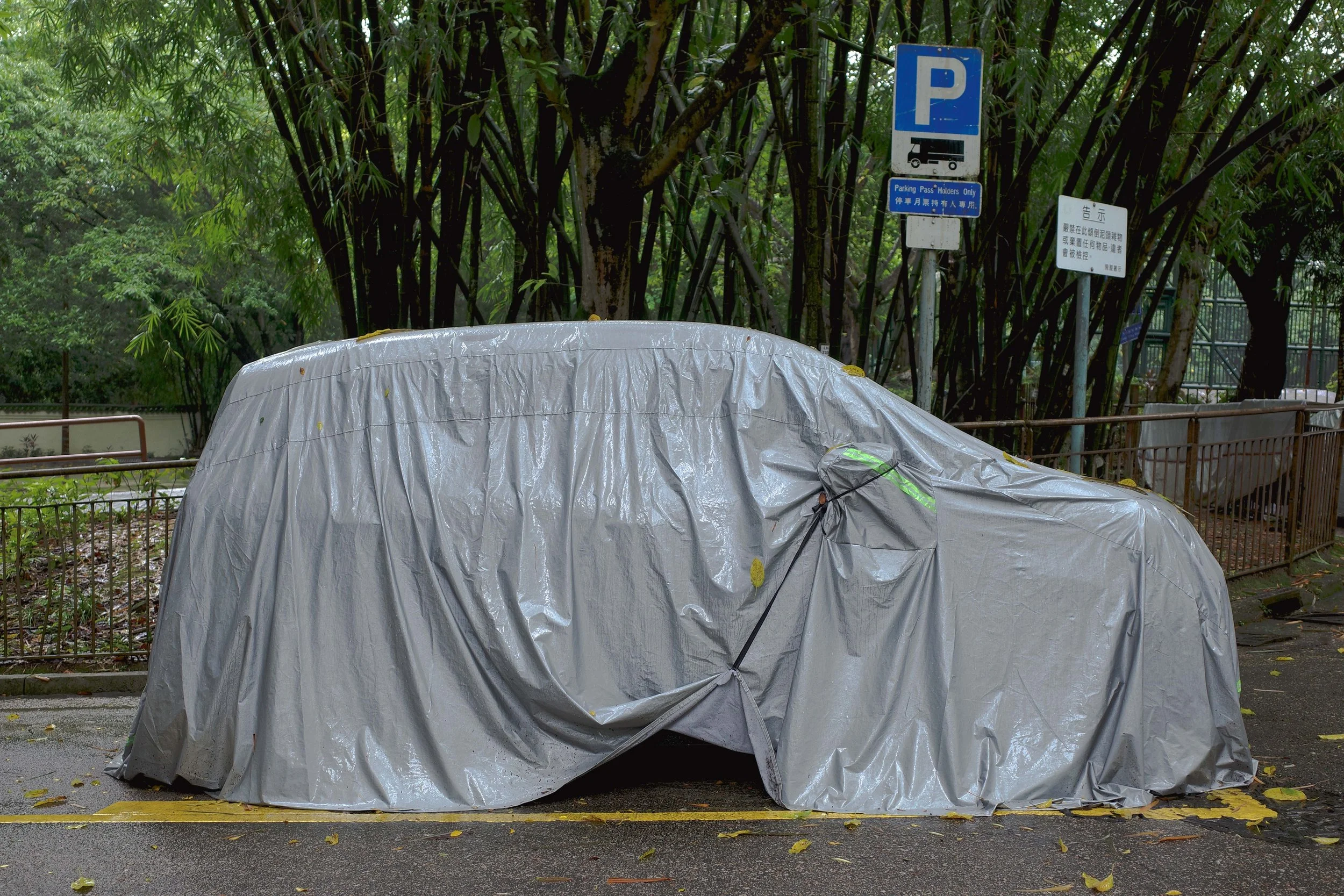 Inflatables, Hong Kong #1, 2025